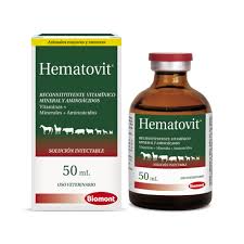 HEMATOVIT 50 ML