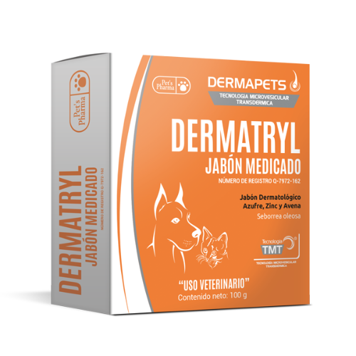 DERMATRYL JABON MEDICADO 100 GR