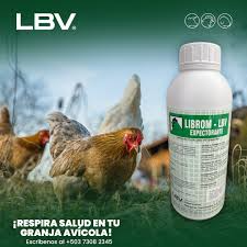 LIBROM 100 ML