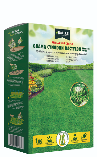 GRAMA CYNODON DACTYLON 200GR