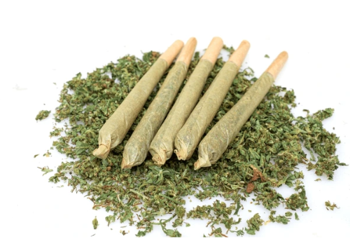 TERPENE-THRAPY  CBG