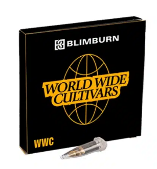 world wide cultivars
