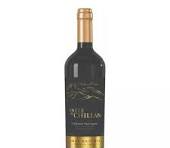 VINHO VALLE DE CHILLÁN CABERNET SAU