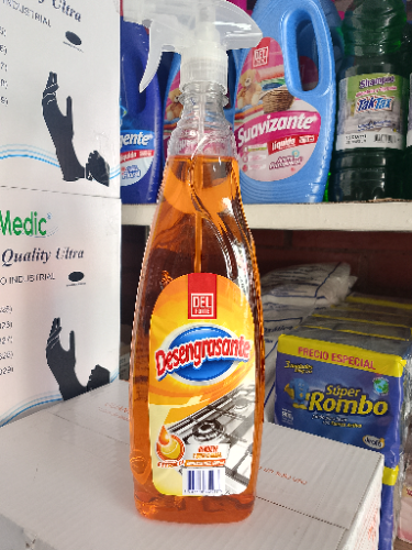 DESENGRASANTE X1000 ML ETERNA