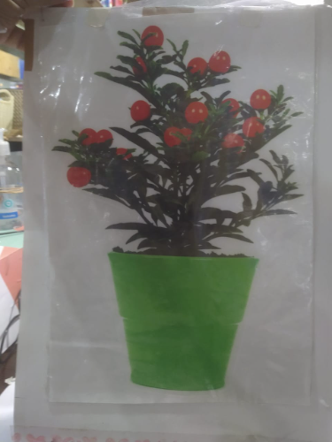 060 vinilo tomate cherry y plantas