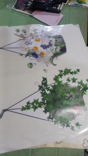 497 VINILO PLANTAS COLGANTES