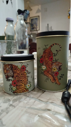 572T LATAS YERBA AZUCAR FLORES Y TIGRES