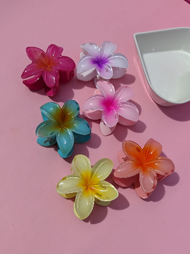 MINI MINI HAWAII