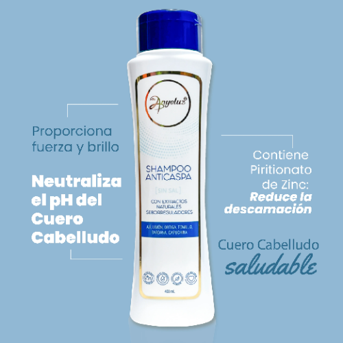 SHAMPOO ANTICASPA ANYELUZ 400ML