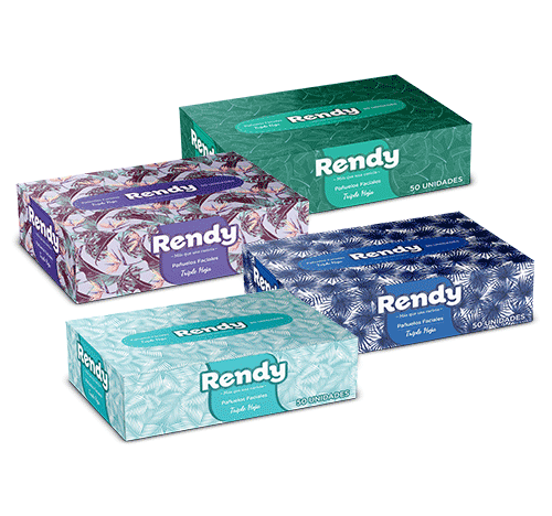 PAÑITOS FACIALES RENDY