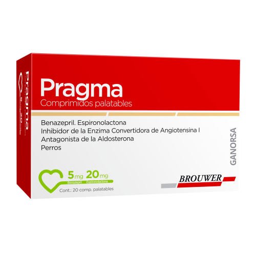 Pragma 5