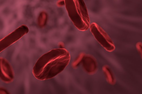 Hematologia Completa