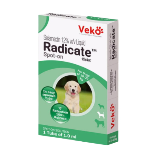 Radicate 10-20 kg