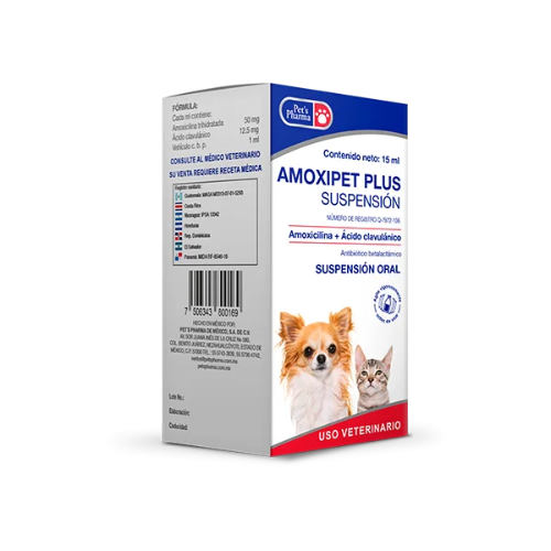 Amoxipet Plus Suspension