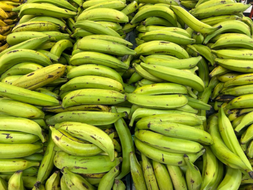 PLATANO VERDE