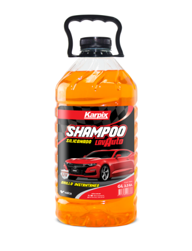 SHAMPO PARA CARRO 1GN