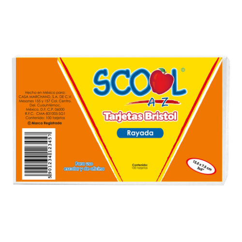Tarjetas bibligraficas rayadas SCOOL 4X6