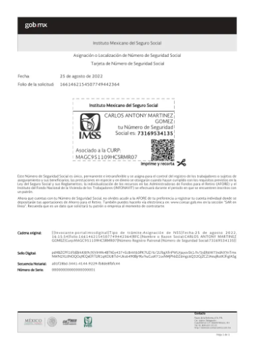 Numero de Seguridad Social (NSS)