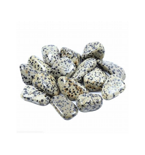 JASPE DALMATA ROLADO