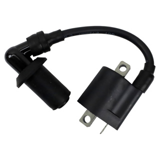 bobina externa yamaha rayz 123606 24-1033